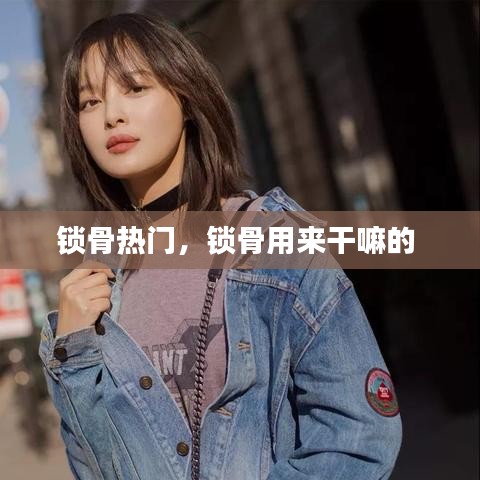 锁骨热门,锁骨用来干嘛的