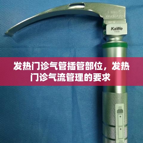 龙飞九五 第5页