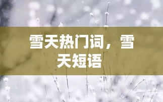 雪天热门词,雪天短语