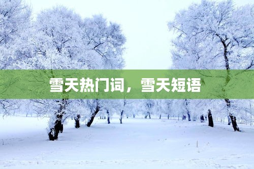 雪天热门词,雪天短语