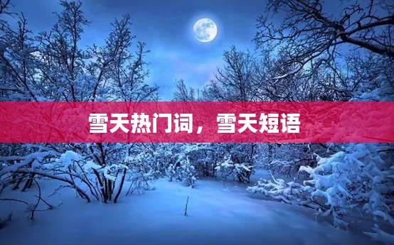 雪天热门词,雪天短语