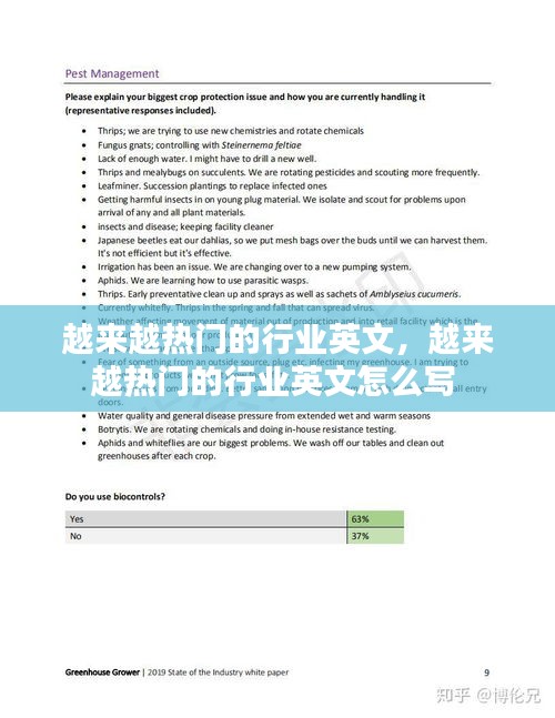 越来越热门的行业英文,越来越热门的行业英文怎么写