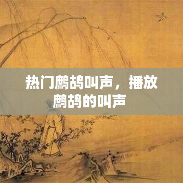 热门鹧鸪叫声,播放鹧鸪的叫声