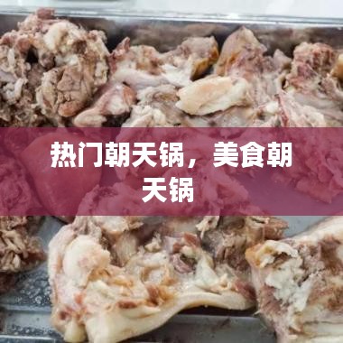 热门朝天锅,美食朝天锅