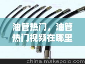 油管热门,油管热门视频在哪里