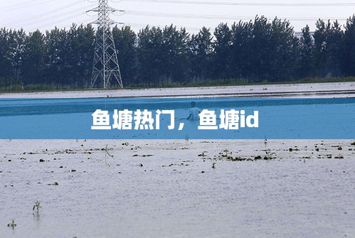 鱼塘热门,鱼塘id