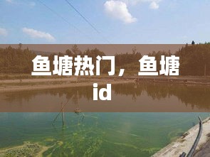 鱼塘热门,鱼塘id