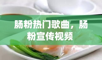 肠粉热门歌曲,肠粉宣传视频