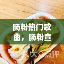 肠粉热门歌曲,肠粉宣传视频
