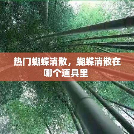 热门蝴蝶消散,蝴蝶消散在哪个道具里