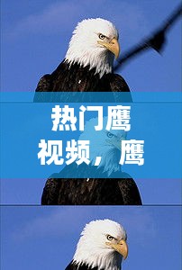 饭来张口 第4页
