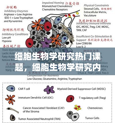 细胞生物学研究热门课题,细胞生物学研究内容及研究热点领域