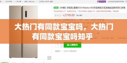 大热门有同款宝宝吗,大热门有同款宝宝吗知乎