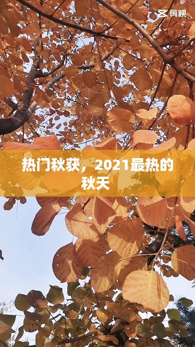 热门秋获,2021最热的秋天