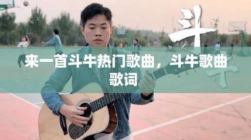 来一首斗牛热门歌曲,斗牛歌曲歌词
