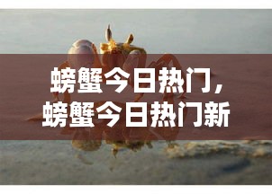 螃蟹今日热门,螃蟹今日热门新闻