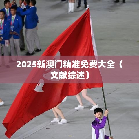 2025新澳门精准免费大全(文献综述)