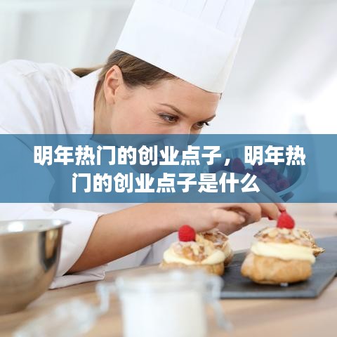 明年热门的创业点子,明年热门的创业点子是什么