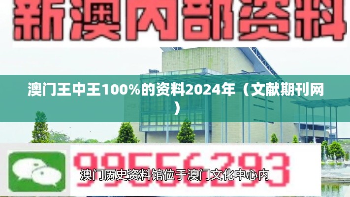 澳门王中王100%的资料2024年(文献期刊网)