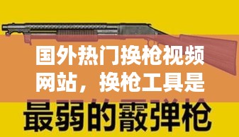 国外热门换枪视频网站,换枪工具是什么
