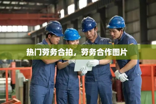 射飞逐走 第4页