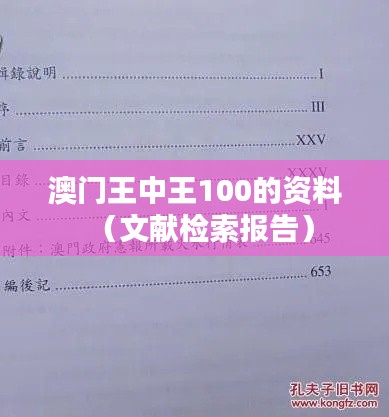 澳门王中王100的资料(文献检索报告)