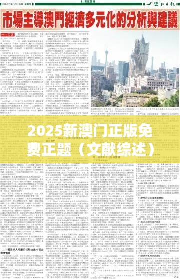 2025新澳门正版免费正题(文献综述)