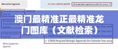 澳门最精准正最精准龙门图库(文献检索)