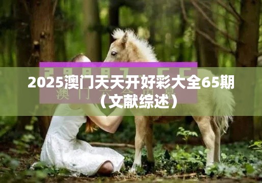 2025澳门天天开好彩大全65期(文献综述)