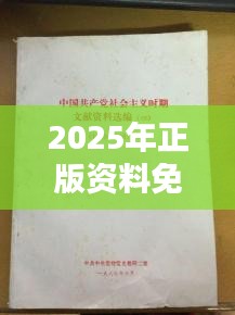 2025年正版资料免费大全中特(文献综述范文)