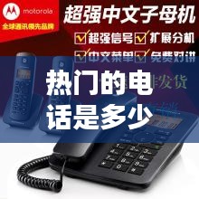 热门的电话是多少,最火电话