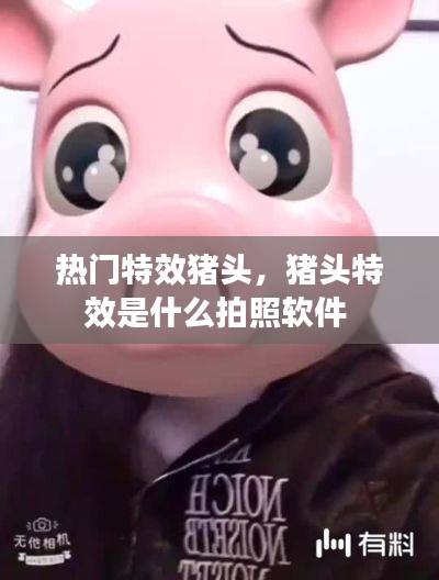 热门特效猪头,猪头特效是什么拍照软件