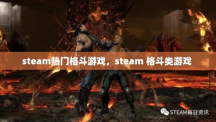 steam热门格斗游戏,steam 格斗类游戏