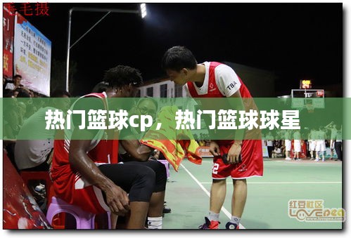 热门篮球cp,热门篮球球星