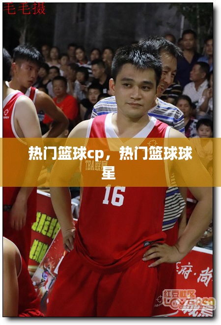 热门篮球cp,热门篮球球星