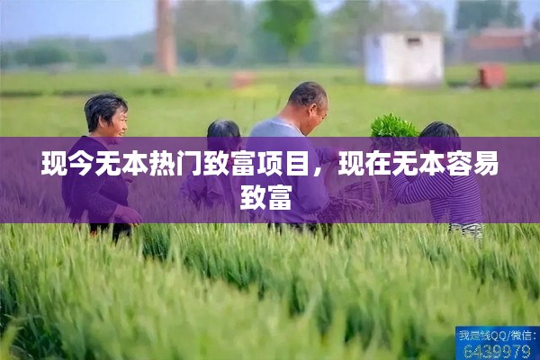 现今无本热门致富项目,现在无本容易致富