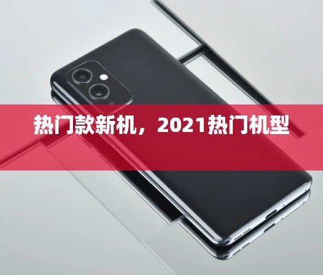 热门款新机,2021热门机型