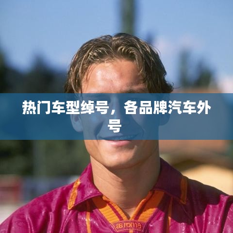 热门车型绰号,各品牌汽车外号