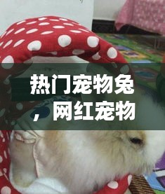 矫揉造作 第3页