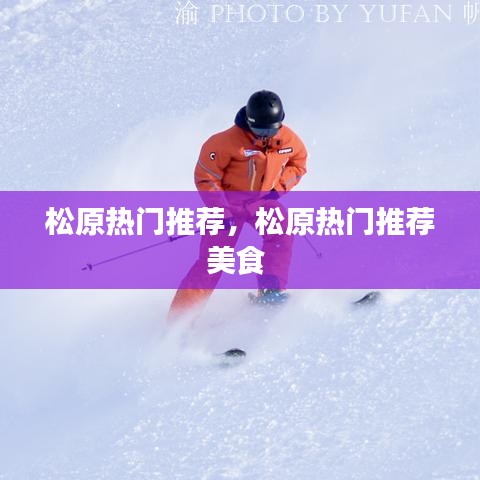 披肝沥胆 第4页