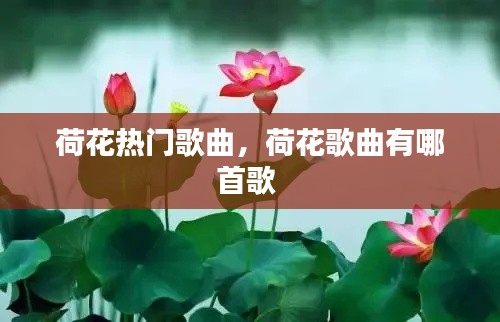 荷花热门歌曲,荷花歌曲有哪首歌