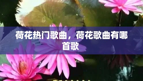 荷花热门歌曲,荷花歌曲有哪首歌