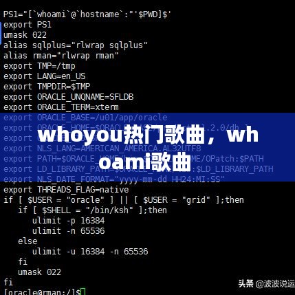 whoyou热门歌曲,whoami歌曲