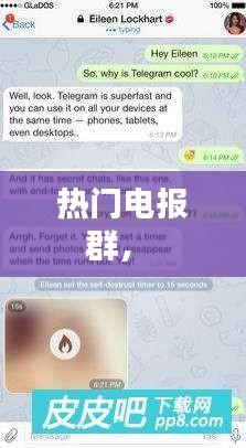 热门电报群,