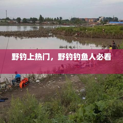 野钓上热门,野钓钓鱼人必看