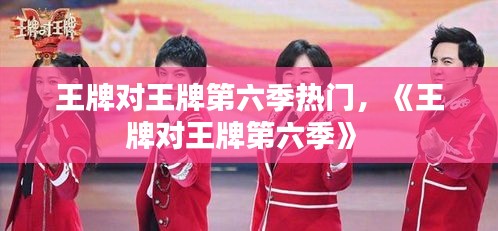 王牌对王牌第六季热门,《王牌对王牌第六季》