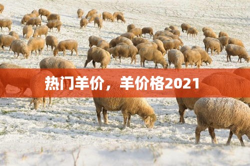 热门羊价,羊价格2021