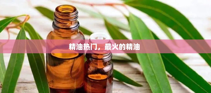 精油热门,最火的精油