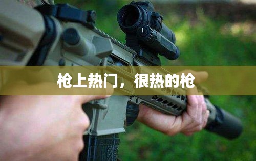 枪上热门,很热的枪