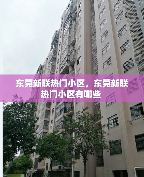 东莞新联热门小区,东莞新联热门小区有哪些